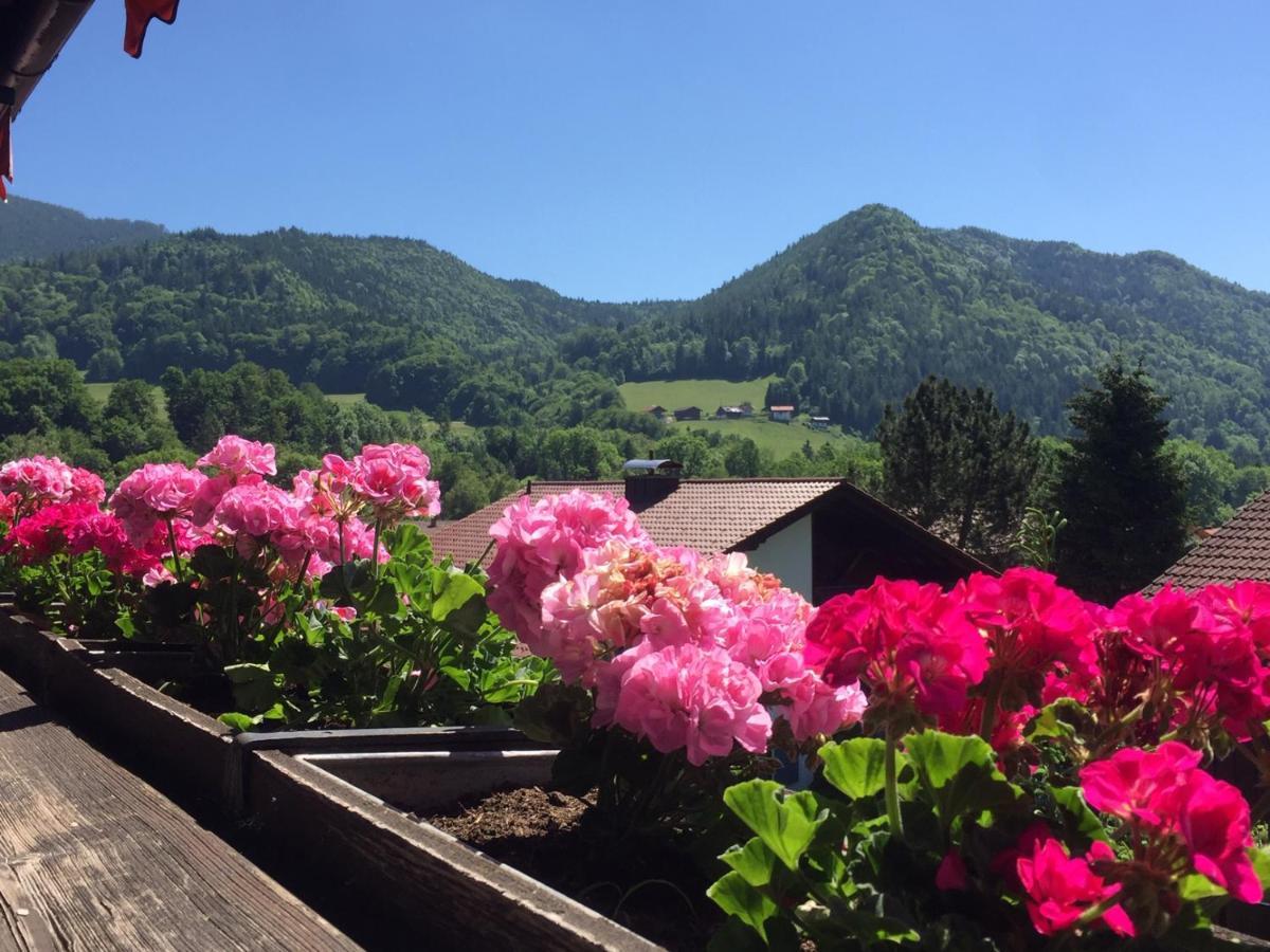 Ferienwohnungen Gaestehaus Sonnenkreis Руполдинг Екстериор снимка